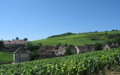Eine kulinarische Reise durchs Burgund